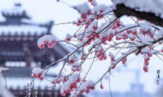 半生雪学生版歌词谁写的 半生雪学生版完整版