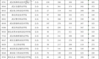 2020年武汉职业技术学院分数线 武职分数线