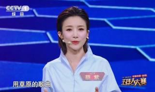 2020年春晚女相声演员 2020年元宵晚会主持人