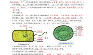 高一生物必修一第一章第一节标题 高一生物必修一复习提纲