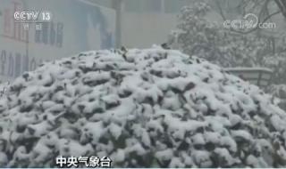 江苏霰雪是暴雪的前兆吗 江苏连发14条暴雪预警