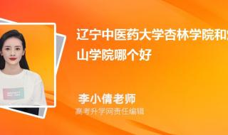 辽宁中医药大学杏林学院怎样 辽宁中医药大学杏林学院